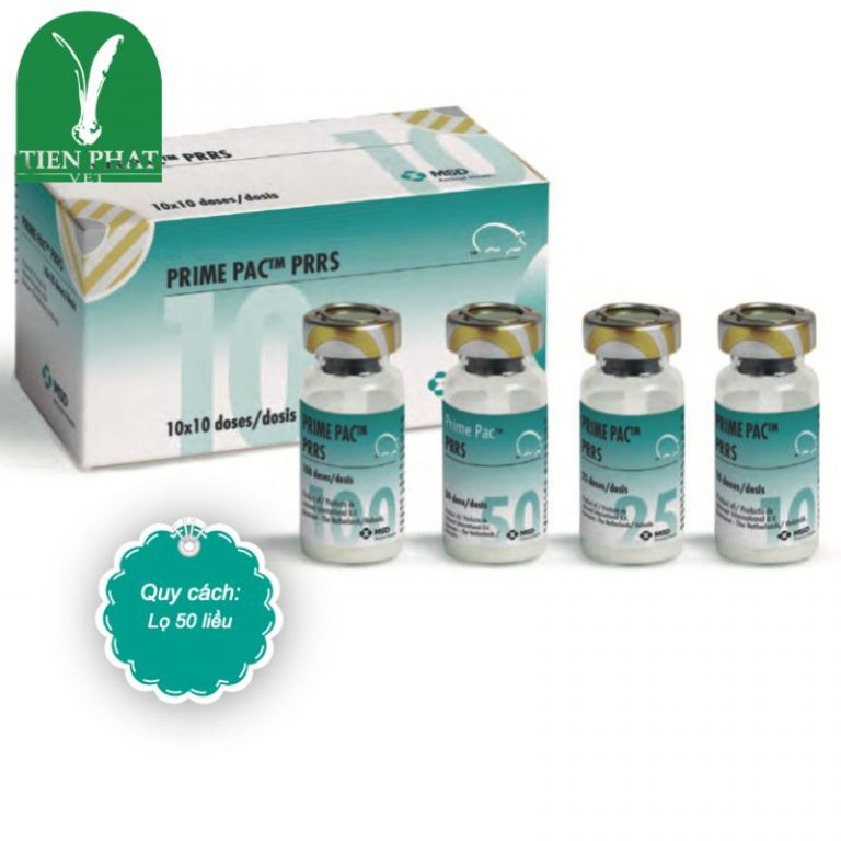 Vaccine sống đông khô PRIME PAC PRRS - Tiến Phát Vet