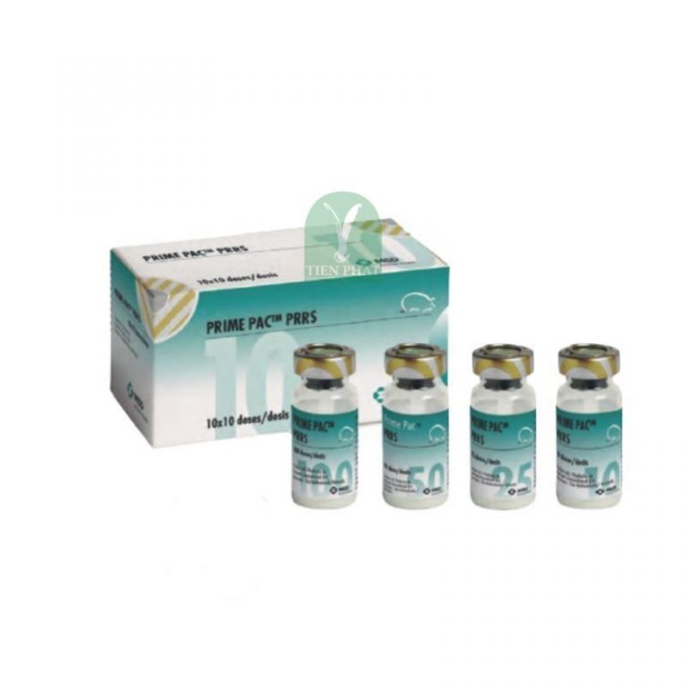 Vaccine sống đông khô PRIME PAC PRRS - Tiến Phát Vet