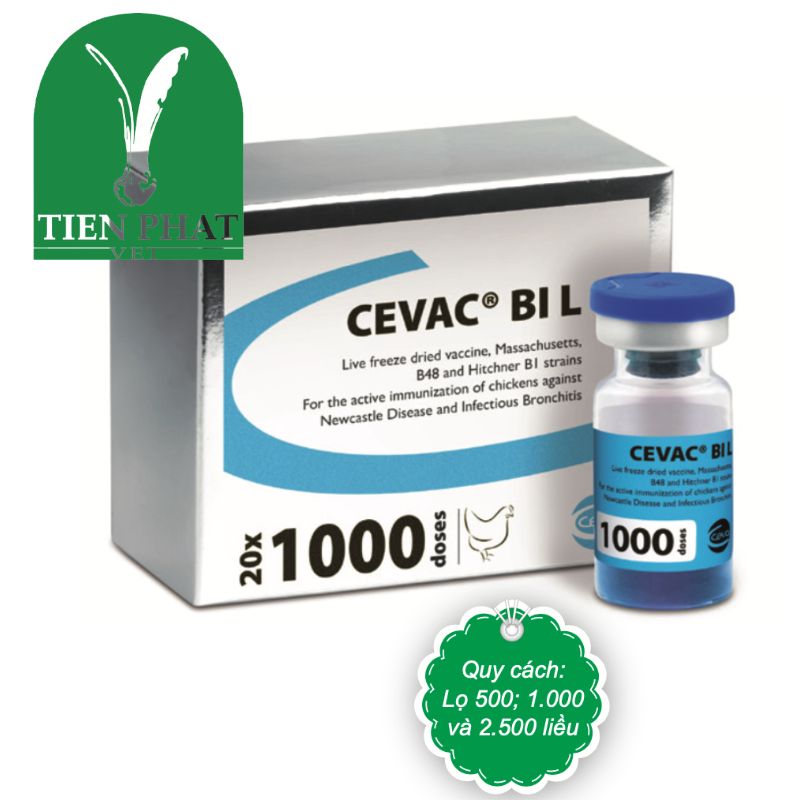 Vaccine sống đông khô CEVAC® BI L