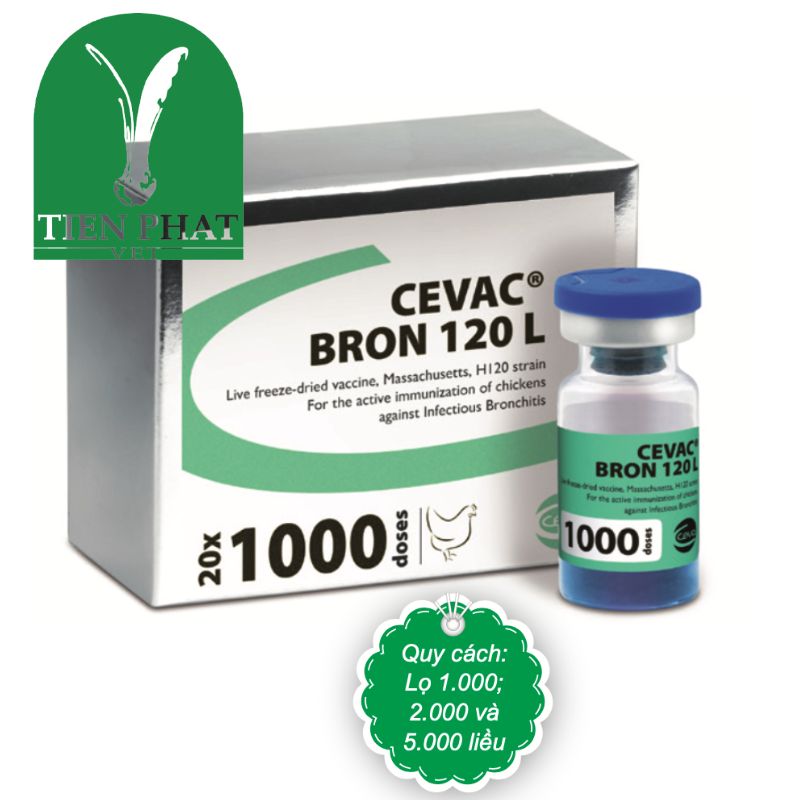 Vaccine sống nhược độc đông khô CEVAC® BRON 120L