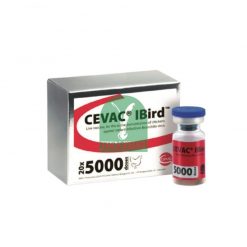 Vaccine sống đông khô CEVAC® IBird