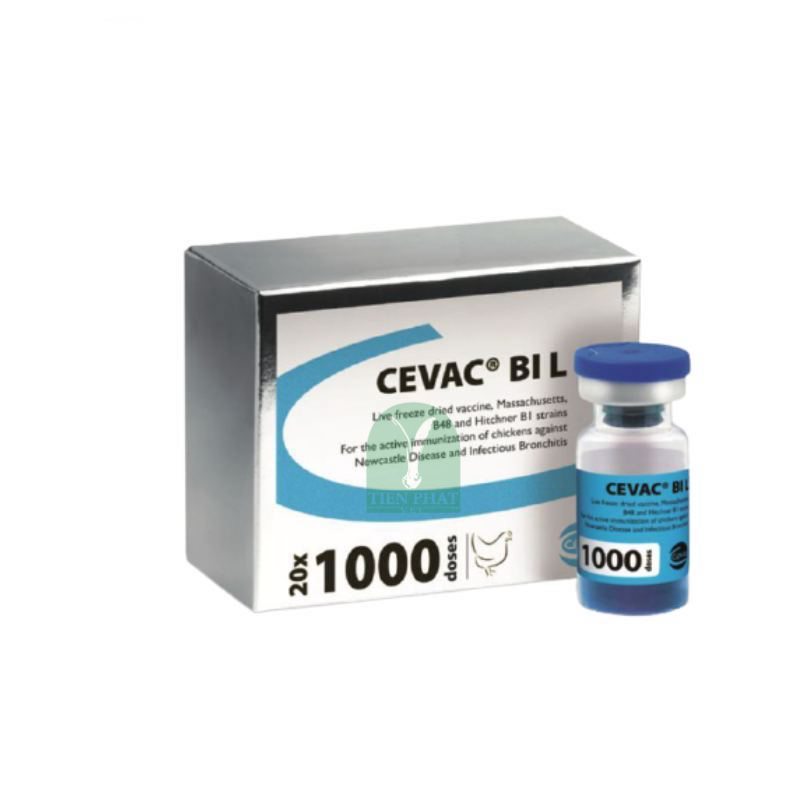 Vaccine sống đông khô CEVAC® BI L