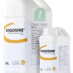 Giúp gia tăng năng suất đàn gà VIGOSINE