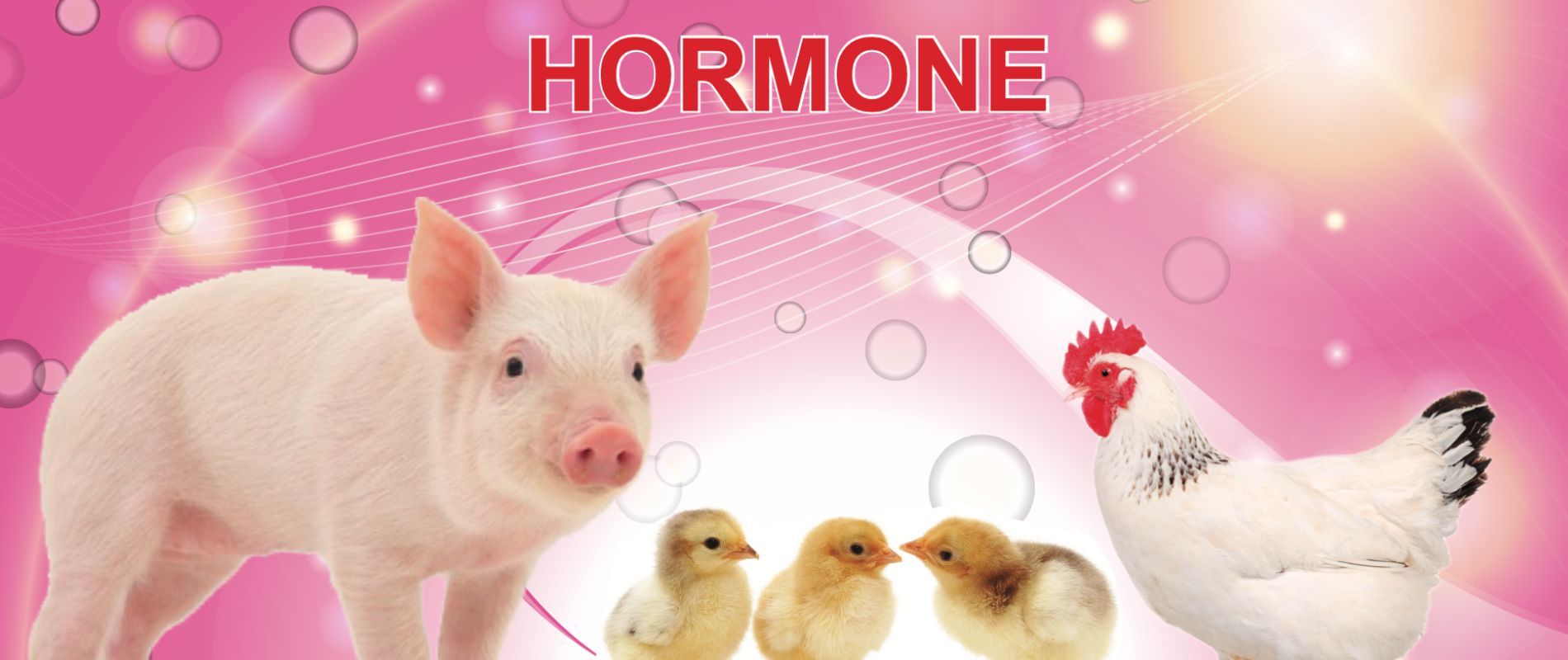 banner hormone