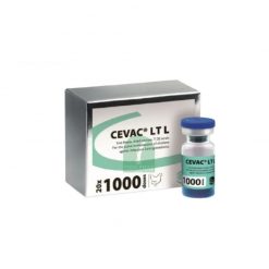 Vaccine sống đông khô, dòng T-20 CEVAC® LT L